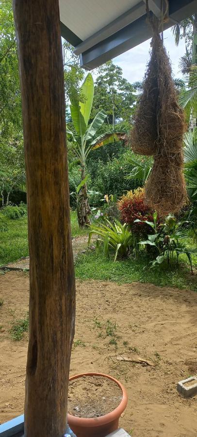 Casa Katharina Vila Cahuita Exterior foto
